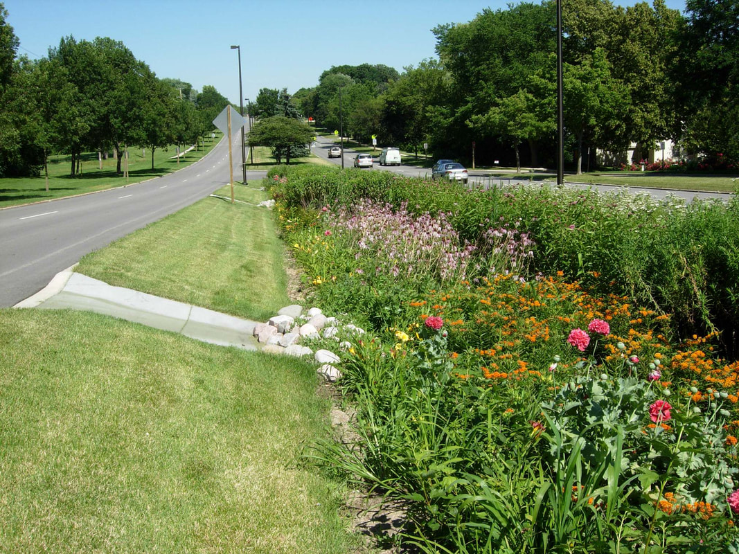 Image of bioretention / bioswale in median of Grange Avenue in Greendale, Wisconsin.