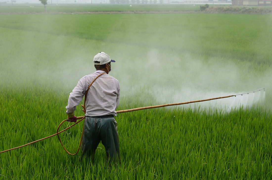 Pesticide being sprayed on a field by a worker wearing a mask