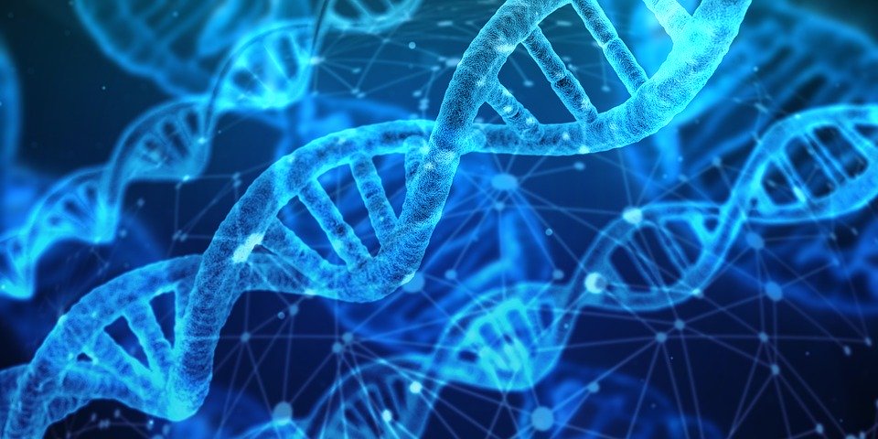 DNA in blue with a network image