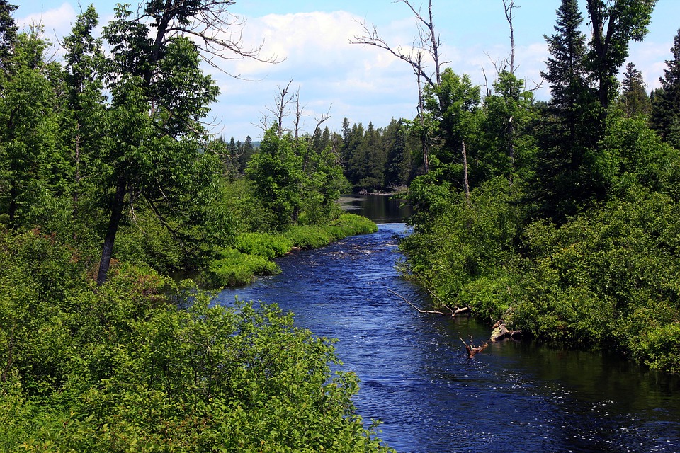 Image of Superior National Forest