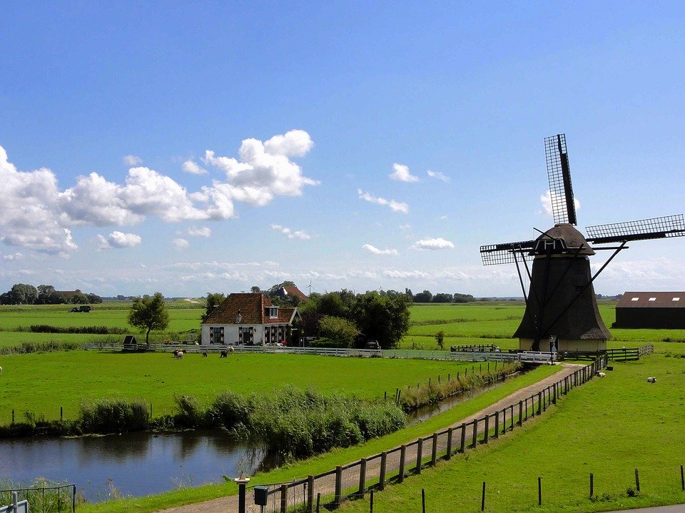 Picture of Dutch field with windmill