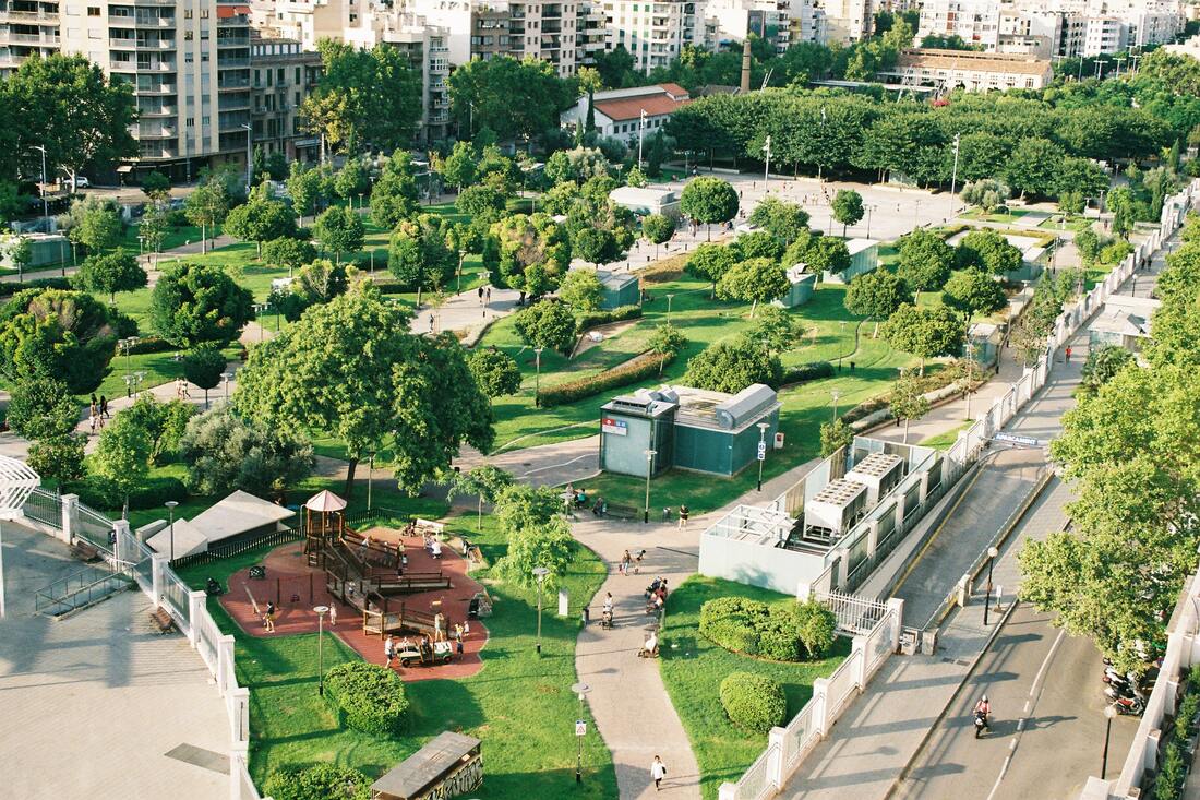 Image of a city park focused on the greenspace